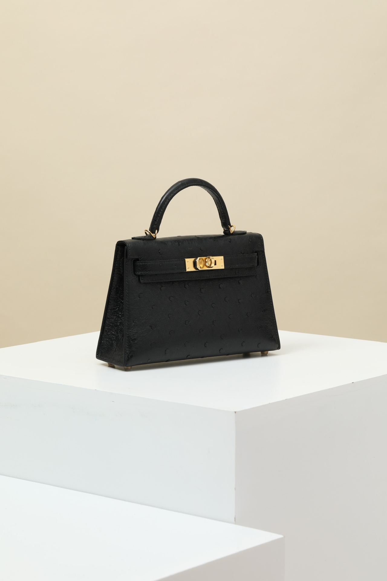 【 Special Order 】 KellyMini2 CK89 Black/Ostrich Skin/PHG - 图片 3