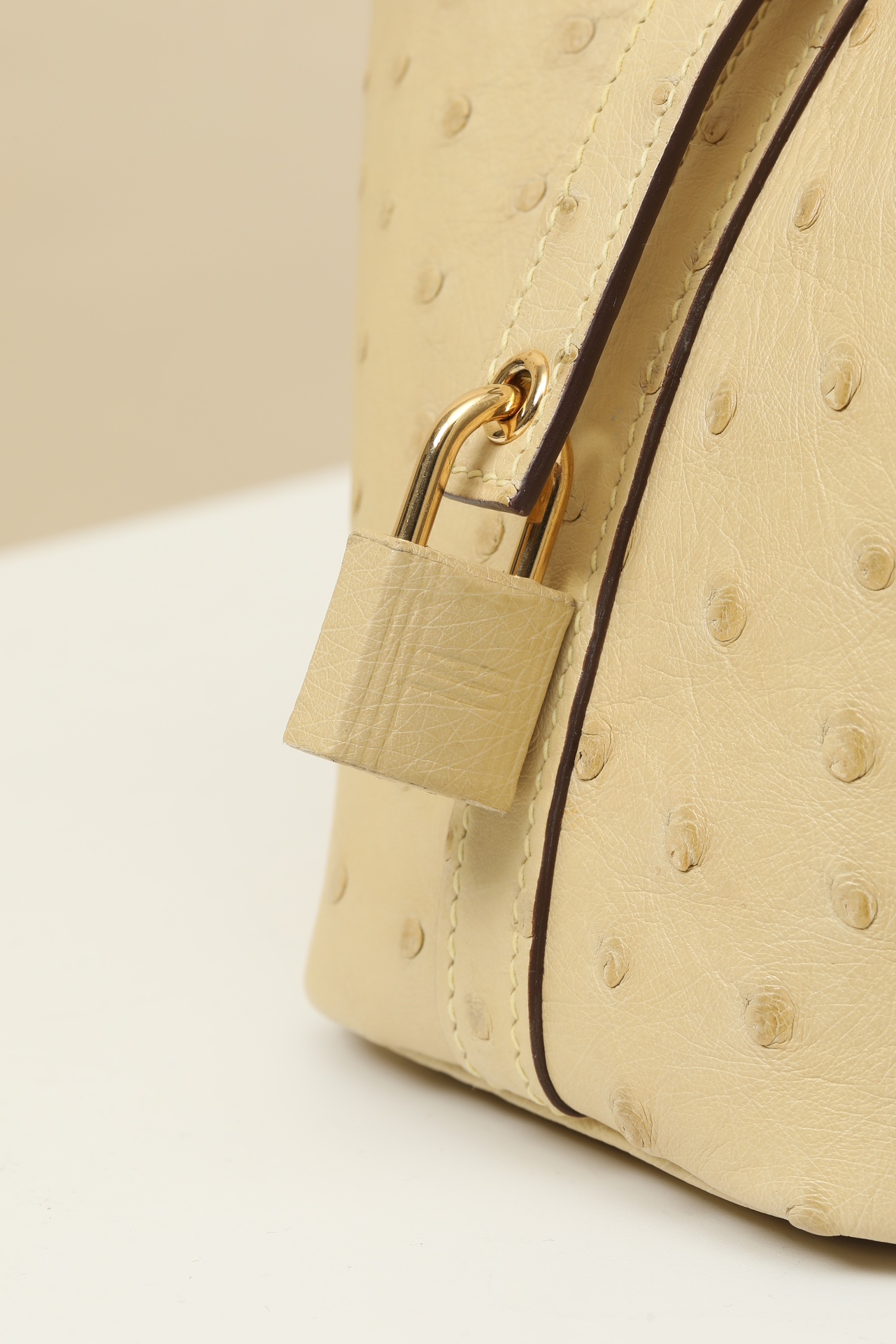 【 Special Order 】Picotin14 Y1 Fragrant Grass/Ostrich Skin/PHG - 图片 5