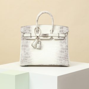 【special order】BIRKIN25  01 Himalaya/Misty Nile Crocodile/PHW (Press Two Points)