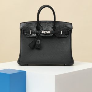 【special order】 BIRKIN25  CK89 black/Togo skin/lizard skin/PHW (highlighted)