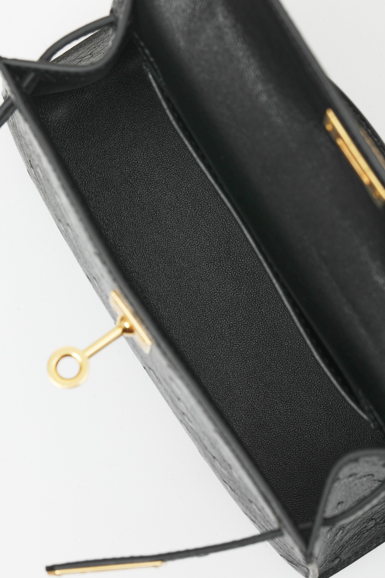 【 Special Order 】 KellyMini2 CK89 Black/Ostrich Skin/PHG - 图片 7