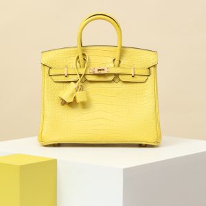 【special order】 BIRKIN25  M9 Calendula/Misty American Crocodile /PHG(Squeezing Mouth)