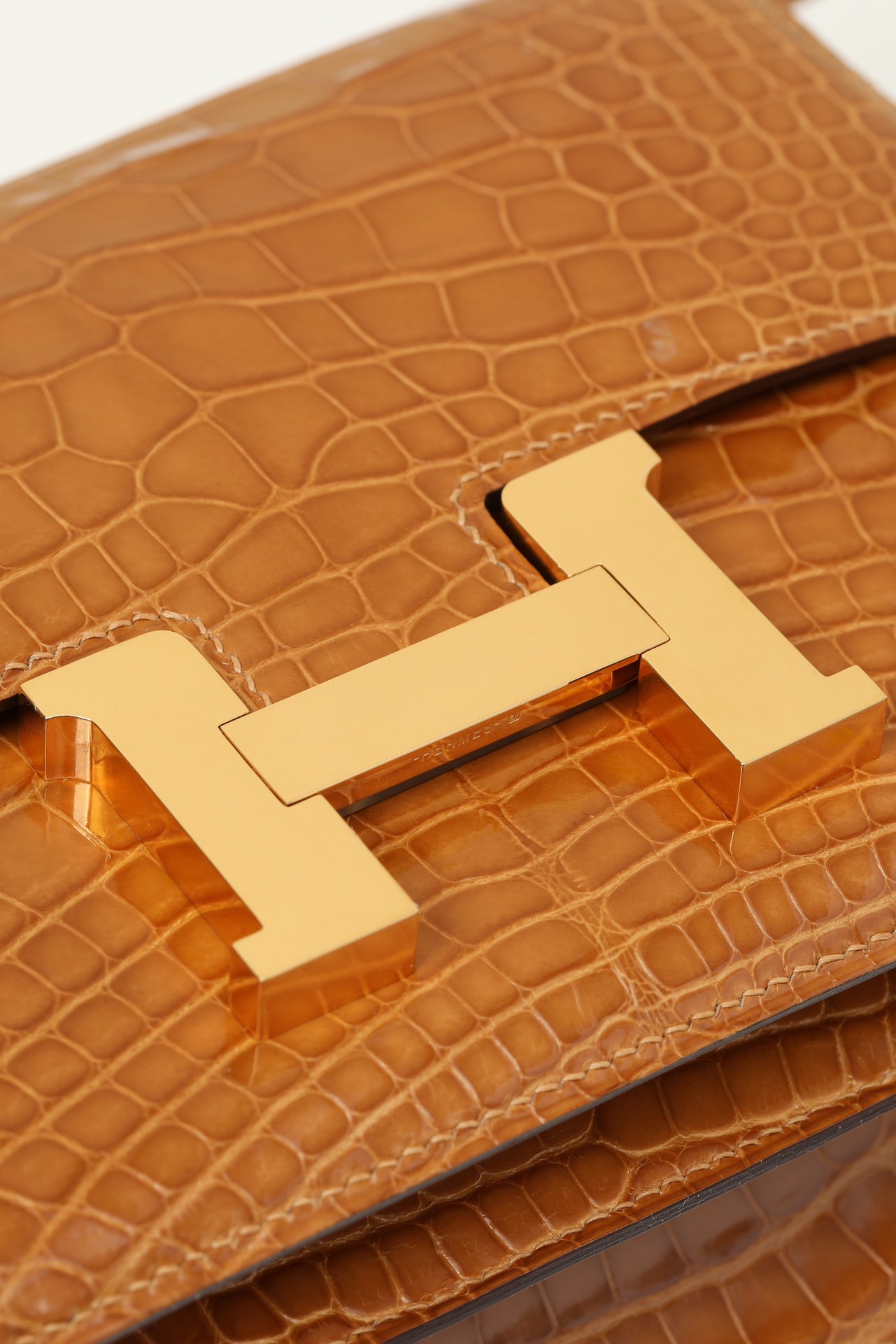 【 Special Order 】Constance19 24 Tobacco/Bright Faced Alligator/PHG - 图片 5