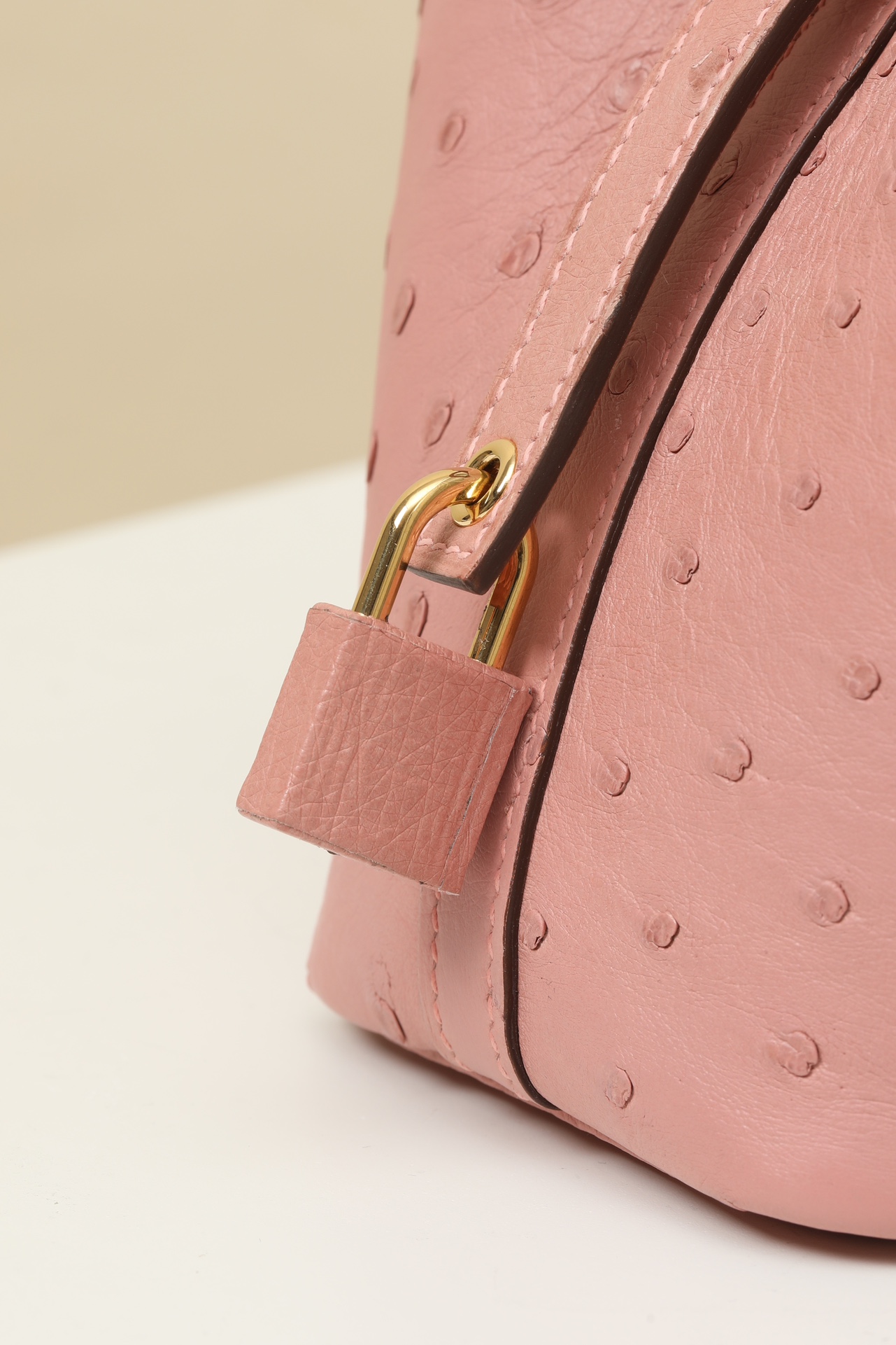 【 Special Order 】Picotin14 94 Ceramic Powder/Ostrich Skin/PHG - 图片 5