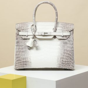 【special order】 BIRKIN30 Himalayan/Misty Nile Crocodile/PHW (compressed air two-point)