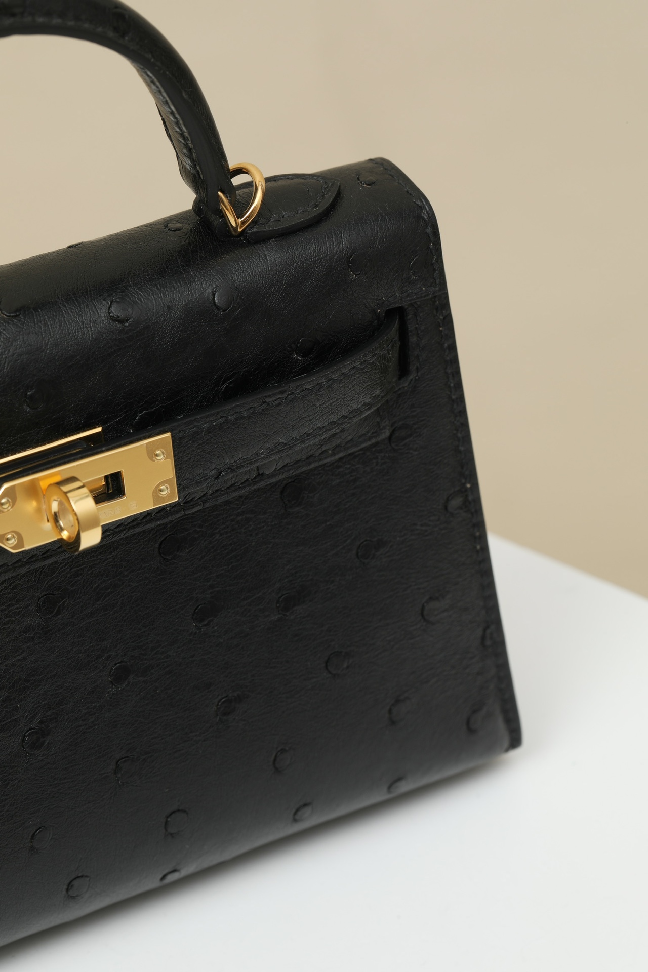 【 Special Order 】 KellyMini2 CK89 Black/Ostrich Skin/PHG - 图片 5