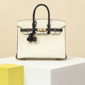 【special order】 BIRKIN25  8L Glacier White/89 Black/Matte Gold/Ostrich Skin (pressed with horse hooves)