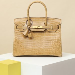 【special order】 BIRKIN30 1I Dust/Bright Bay Crocodile/PHG (Overwhelming V)